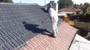 roof painting Melbourne CBD