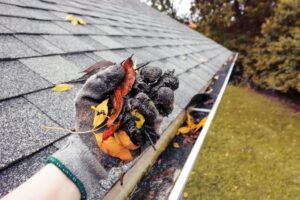 Starvac Gutter Cleaning