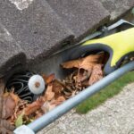 Your Expert Guide to Roof Downpipe Replacement and Maintenance